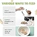 PAWUP Freeze Dried Chicken Heart Pet Treats, High Protein Freeze-Dried Pet Food for Dogs, Cats, Fresh Ingredient, 3.2 oz, Rawhide Free, Gluten&Grain Free