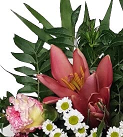Blumenstrauß mit echten Blumen Muttertag mit Flora Trans versenden - zum Geburtstag - Lieferung 1-2 WERKTAGE