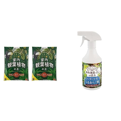 Ԃ O ϗtA̓y 5L×2 & EϗtEGAvc̊ nEcE邨t p 500mlyZbgz