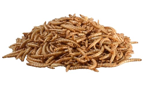 PANTO Mehlwürmer – 5kg proteinhaltiges Wildvogelfutter, getrocknete Mehlwürmer für Wildvögel, Hamster, Igel, Geflügel… – Bild 3