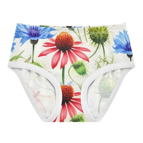 Girls Underwear Toddlers 2t Cotton Little Girl Panties Funny Underpants Briefs Watercolor Wildflowers Coneflowers - Main Image