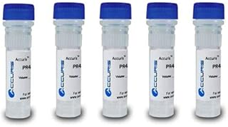 Accuris SmartCheck 100bp DNA Ladder - 5x500ul/500lanes