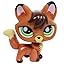 Fox #807 Fox #807