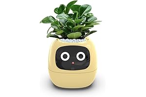 Plantagotchi Smart Plant Pot: The Ultimate Plant Companion