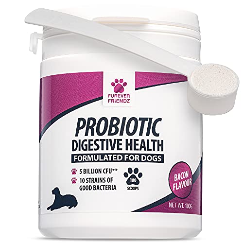 Dog Probiotic Powder – Chicken & Bacon Flavour Probiotic for Dogs – Dog Digestive Supplements w/No Gluten or Dairy – Mix-In Powdered Probiotics for Dogs Powder by Furever Friendz