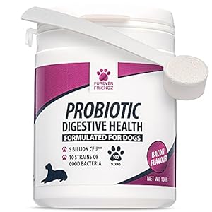 Dog Probiotic Powder – Bacon Flavour Probiotic for Dogs – Dog Digestive Supplements w/No Gluten or Dairy – Mix-In Powdered Probiotics for Dogs Powder by Furever Friendz