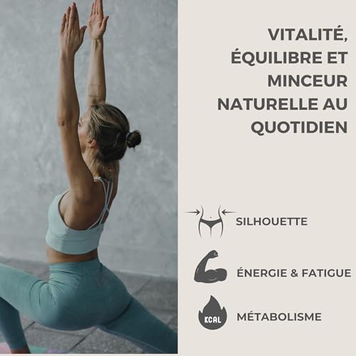 Slim Boost Minceur – L-Carnitine, Thé Vert, Chrome, Zinc, Vitamines B6 & B12 – Vegan – Support Glycémie, Énergie, Métabolisme, Pré-workout – 120 Gélules – Image 4