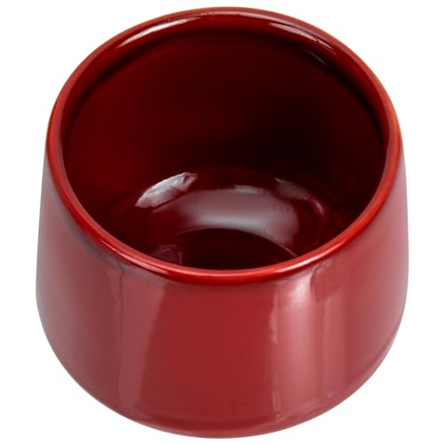 FIXOSHEE Taza Pequeña de Cerámica para Café y Té, Aislante Térmico, Color Claro Vintage, Adecuado para Oficina y Uso Diario, Taza Decorativa para Bebidas Calientes, 1 Unidad