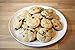 Chocolate Chip Cricket Cookie Mix with Cricket Powder (Cricket Flour)