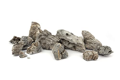 Image of LANDEN Seiryu Stones Natural Rocks for Aquarium, Paludarium, Terrariums, Landscaping Rocks, Aquascaping, 80L (36lbs) 3-11in, Seiryu Stones(3-11inch,36lbs)