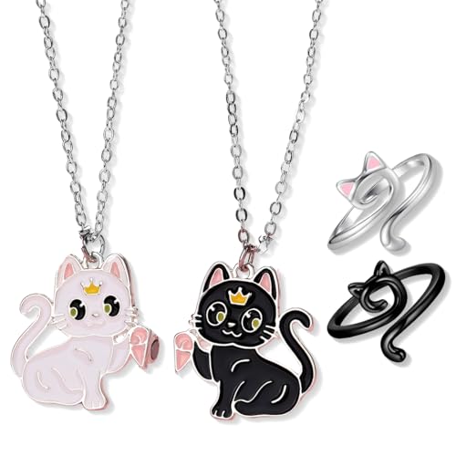 Collana dell'amicizia per 2: adatta per amiche intime, amanti, sorelle, ecc. Adatta per San Valentino, lauree, feste e altre occasioni per trasmettere emozioni.