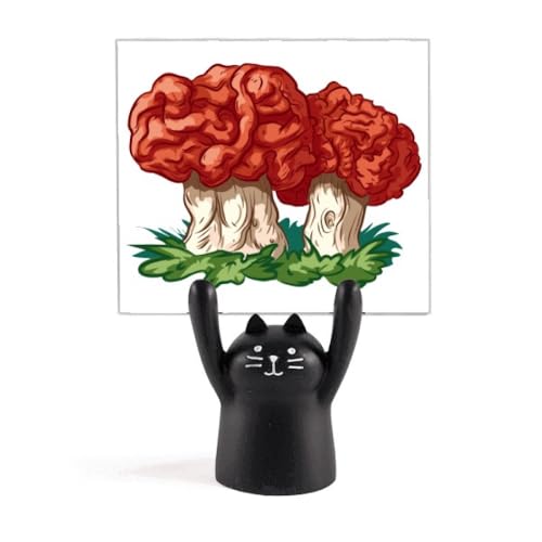 킢ԂLmR̃p^[ J[gD[LX^h^z_[