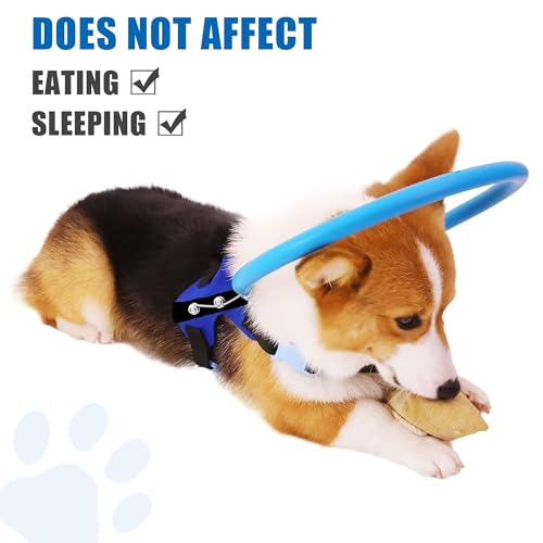 Blind Dog Halo Geschirr, Schutzhalsband mit reflektierenden Riemen, Selbstbewusstseinsaufbaugerät für sehbehinderte Hunde