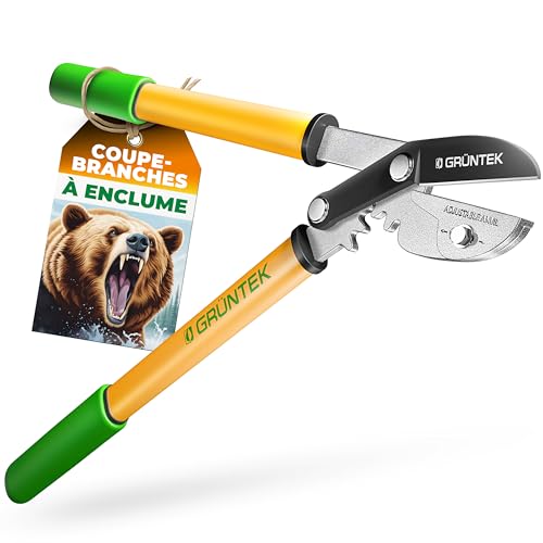 GRÜNTEK Cisaille Coupe Branches Ébrancheur de 47 cm avec Sécateur à crémaillère. Élaguer à Enclume Compact Grizzly en Aluminium