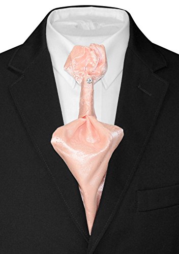 Image of Vesuvio Napoli PreTied ASCOT Solid PAISLEY Color Cravat Men's Neck Tie 21 Colors