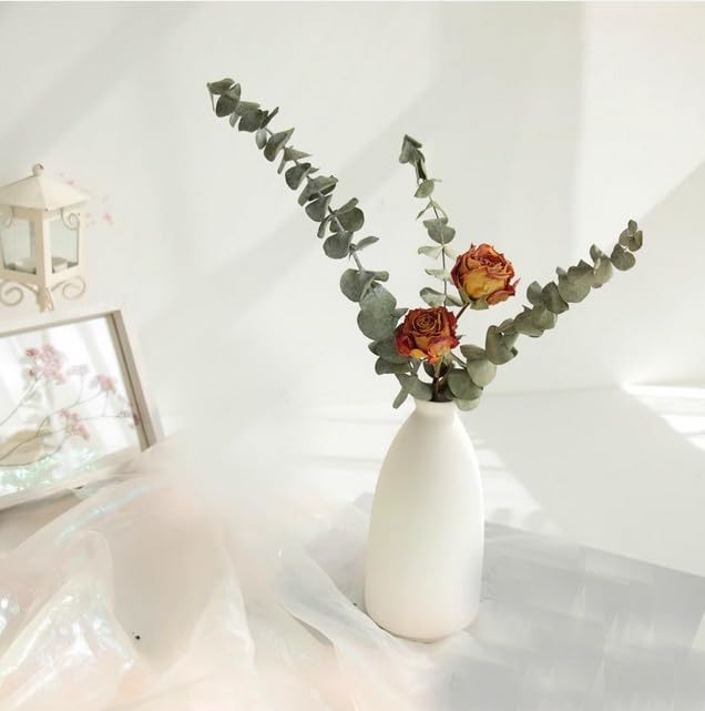 Bouquet Naturel De Fleurs Séchées À L'Air De Marguerites De Blé Et De Lavande avec Vase