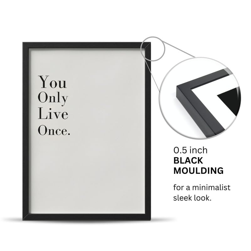 Image of Wall Framed Posters | 8x12 inch size | Motivational Quotes Posters |Inspirational inchYou Only Live Once inch Motivational Photo Frame - Desk & Wall Decor for Office, Bedroom, and Living Room