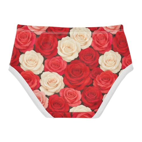 Joisal Toddler Girls Underwear 2t Cotton Panties for Girl Animals Briefs Girls Undies Red Pink White Roses2