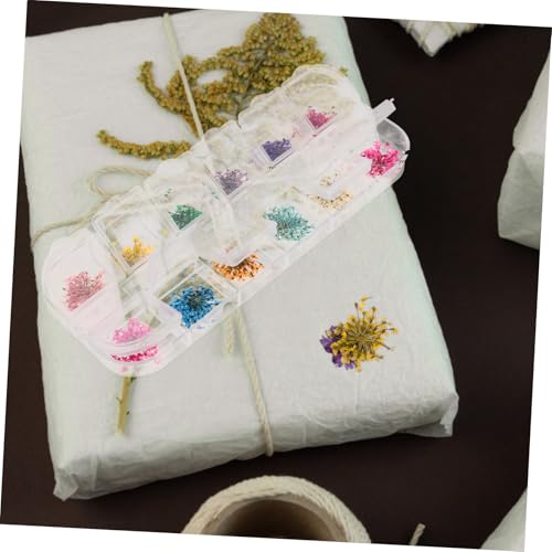 Flores secas para manualidades en resina, pack de 3 miniatura 4