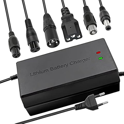 Cargador de batería Li-Ion 58,8V 5A con múltiples enchufes Cover