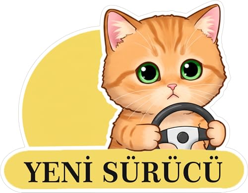 Yeni Sürücü Sevimli Kedi Araba Etiketi ve Sticker Çok Renkli 20x15 cm Kendinden Yapışkanlı