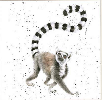 Wrendale Designs White Lemur Print On Square 20 Cm Canvas Tail In The Air