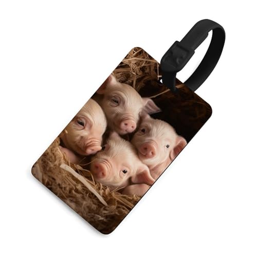 Étiquette d'identification Quatre petits cochons pour éviter la perte de sac à dos
