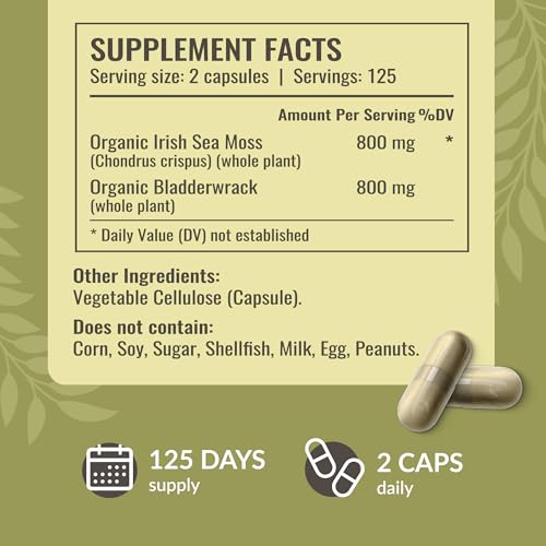 HERBAMAMA Irish Sea Moss + Bladderwrack Capsules (250 ct) — view 3