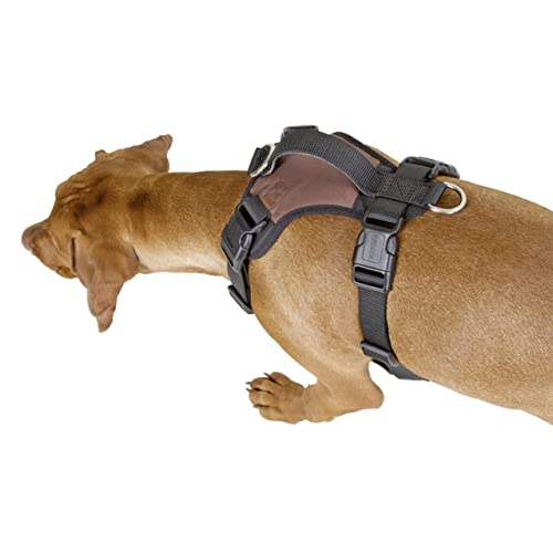 Kerbl Pet Hundegeschirr Pulsive, braun, 36-50 cm, 46-60cm