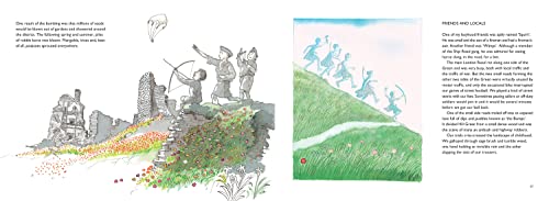 War Boy: The classic illustrated children's book about life during World War Two - Image 4