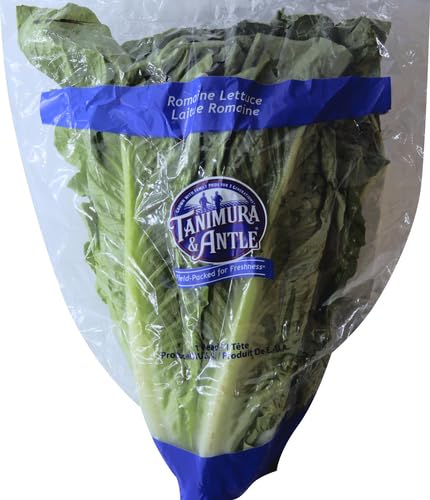 Romaine Lettuce 1 Each — view 2