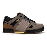 DVS