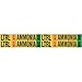 Brady 90434, 75" Dia. Thru 2.375" Dia. Vinyl LTRL Liq Ammonia Low Pipe Marker, 50 Cards