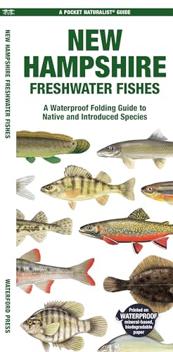 New Hampshire Freshwater Fishes (Nature Observation North America)