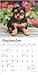 Yorkshire Terrier Puppies | 2025 7 x 14 Inch Monthly Mini Wall Calendar | BrownTrout | Animals Small Dog Breeds Yorkies