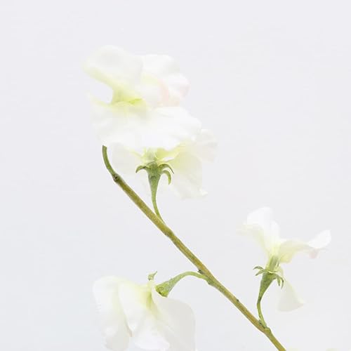 Miniatura 2 de ORFOFE Decoración de plantas falsas, flores de seda, centros de mesa, flores artificiales, tallos de flores falsas, arreglos florales, ramas,