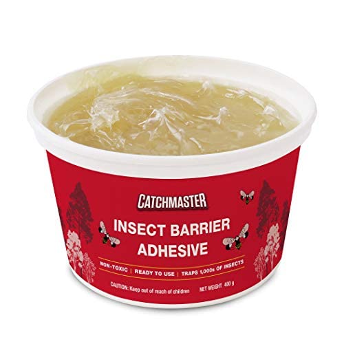 Tree Banding Diy Insect Adhesive Barrier Full Kit By Catchmaster - 4 Count 15 Oz 1 Spreader 1,000 Ft. Roll Plastic Wrap, Ready For Use Outdoors. Weather-Proof Environment-Friendly Non-Toxic #TOP4
