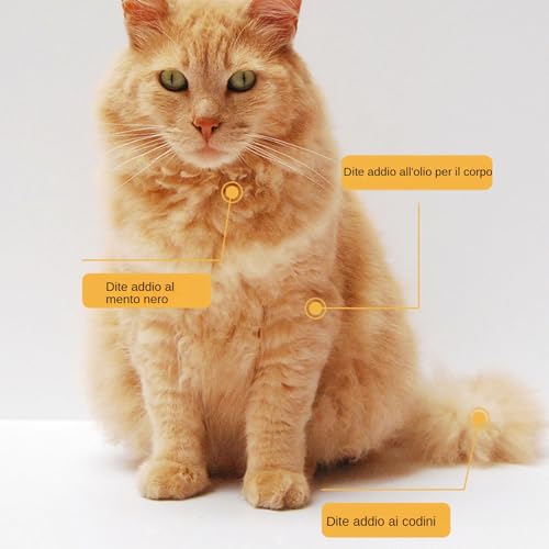 Shampooing crème pour chat idéal après les sorties
