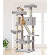 Amazon | Taoqimiao キャットタワー 高さ180cm 大型猫用 多頭飼い対応
