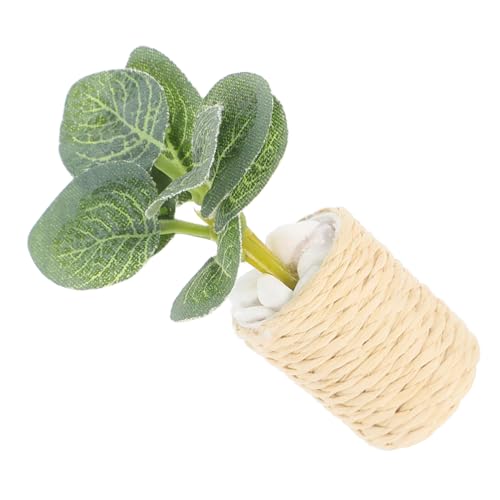 FONDOTIN ~j`A~ tFCNO[ iσfR[V 