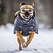 balacoo Sonnenbrillen für Hunde: UV-Schutz Sonnenbrille mit Einstellbar Gummiband Wasserdicht Winddicht Augenschutz für Mittel/Gross Hunde