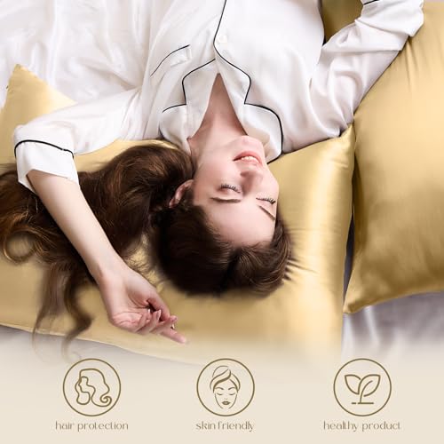 ZIMASILK 100% Pure Mulberry Silk Pillowcase for Hair and Skin Health,Soft and Smooth,Both Sides Premium Grade 6A Silk,600 Thread Count,with Hidden Zipper,1pc(Toddler 13''x18'',Champagne)