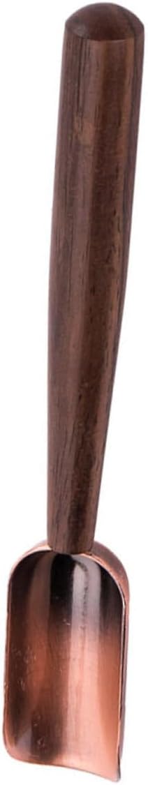 Ceremony Tea Scoop Household Tea Spoon Portable Matcha Spoon Easy Clean