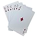 Plastic Braille Playing Cards