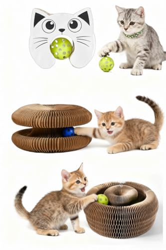 Coco Gato Rascador, Rascador para Gatos de Cartón, Rascador Interactivo Plegable con Campana, Juguete para Gatos Tipo Kitty Spin