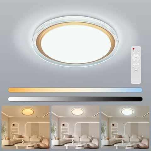 VIPMOON Dimmable Ceiling Light with Night Light Cover