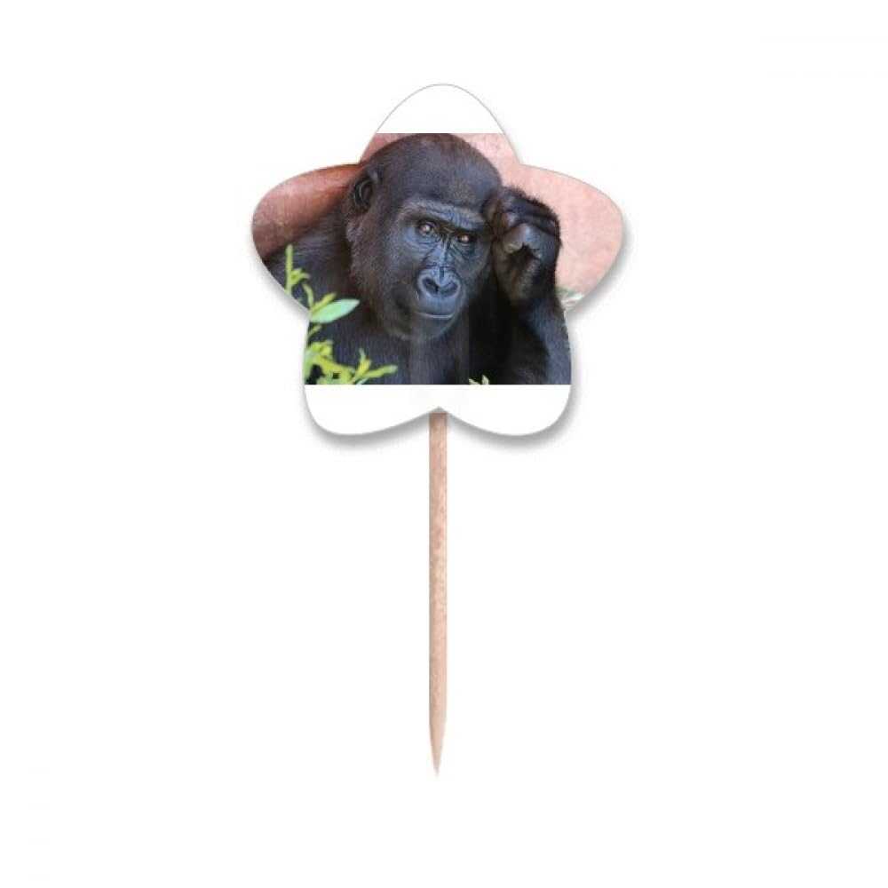 Cure-dents en forme de chimpanzé au design étoilé unique pour apéritif