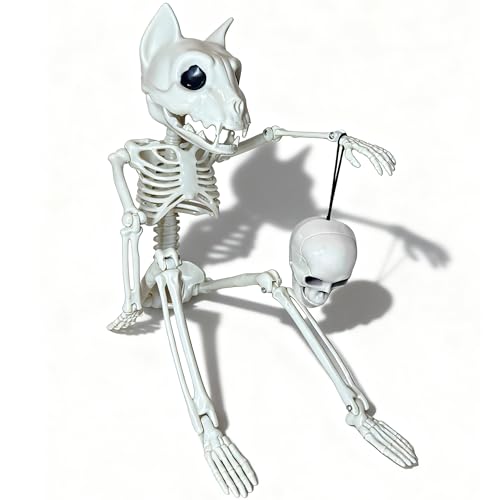 GUSYXO 16 Inch Cute Horror Party Decorations Indoor Outdoor Haunted House Props Poseable Hybrid Small Skeletons Decor: Funny Skull for White Elephant Gifts