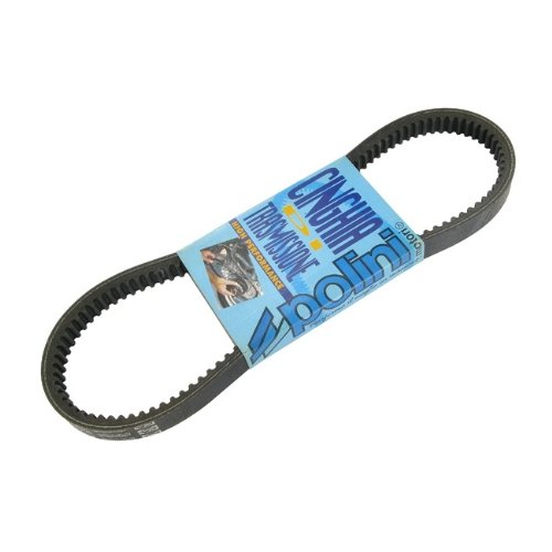 Cinghia Polini Speed Belt per brevi (-98)