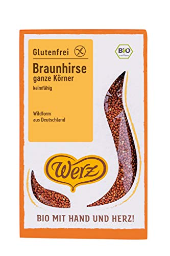 Braunhirse. ganze Körner. keimfähig. glutenfrei (0.5 Kg)